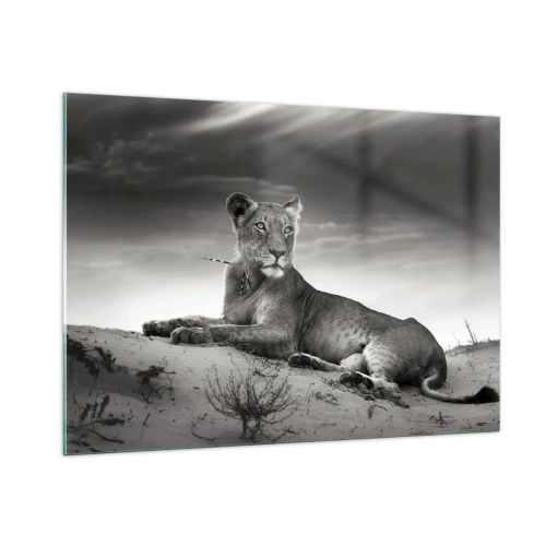 Impression sur verre - Image sur verre - Laissé gisant dans le désert dans un cadre noir et blanc - 100x70cm - La reine du désert reste - Décoration murale moderne pour le salon et la chambre ARTTOR