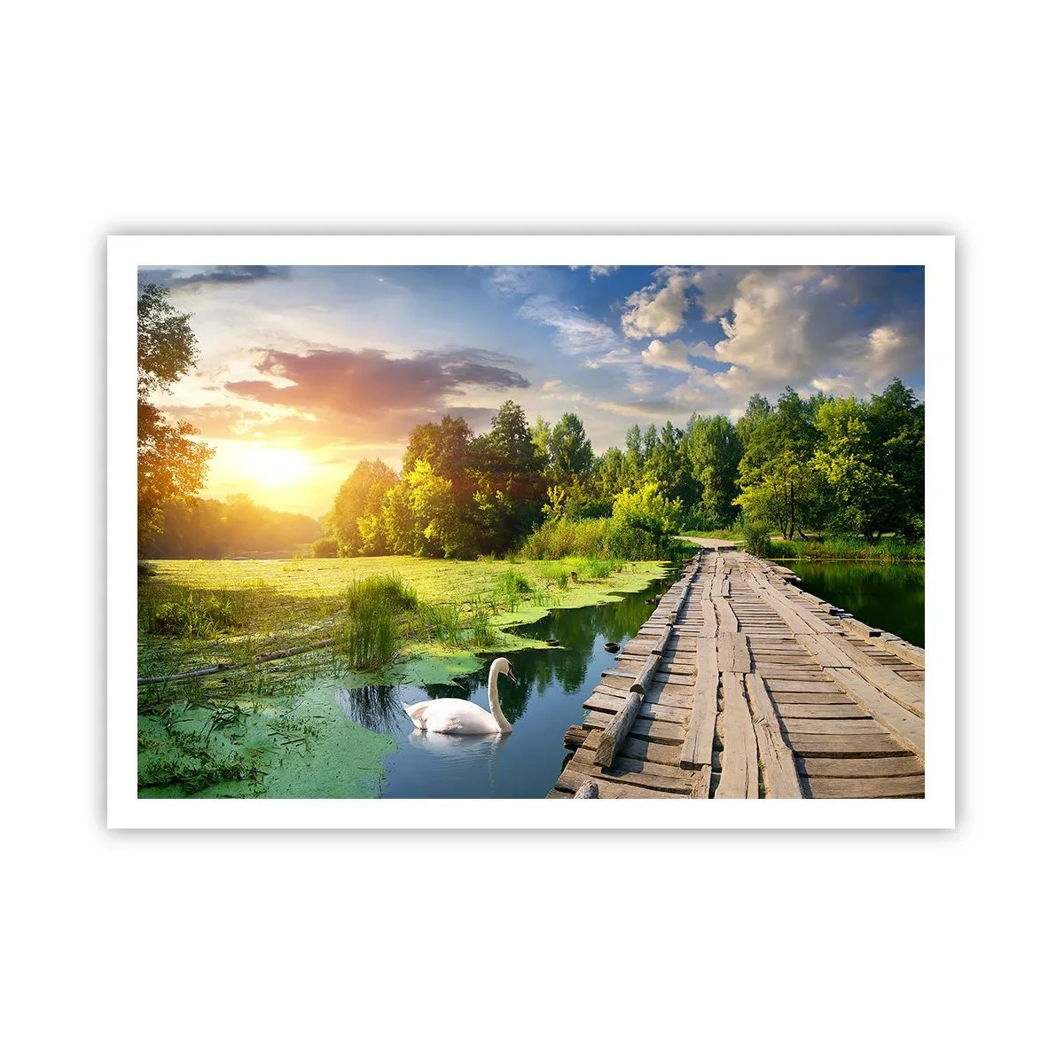 Affiche - Poster - Un paysage pittoresque avec un pont et un cygne - 100x70cm - L'été, l'été partout - Décoration murale moderne pour le salon et la chambre ARTTOR