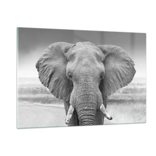 Impression sur verre - Image sur verre - Portrait noir et blanc d'un éléphant dans la savane - 120x80cm - Bienvenue dans mon monde - Décoration murale moderne pour le salon et la chambre ARTTOR