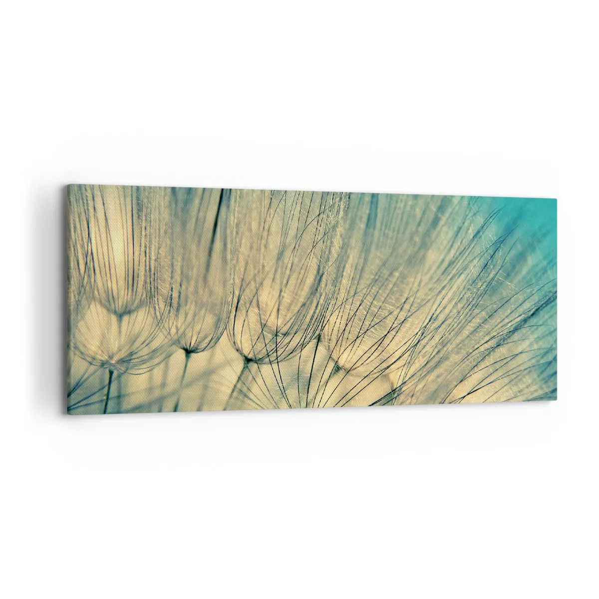 Impression sur toile - Image sur toile - Macrophotographie de pissenlits en plein jour - 120x50cm - En attente du vent - Décoration murale moderne pour le salon et la chambre ARTTOR