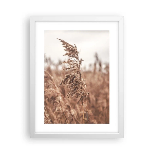 Affiche dans un cadre blanc - Poster - C'est déjà l'automne dans les champs - 30x40 cm