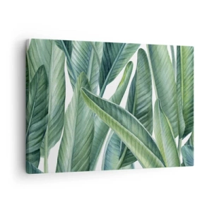 Impression sur toile - Image sur toile - Feuilles vertes dans un style botanique minimaliste - 70x50cm - La nature face à elle-même - Décoration murale moderne pour le salon et la chambre ARTTOR