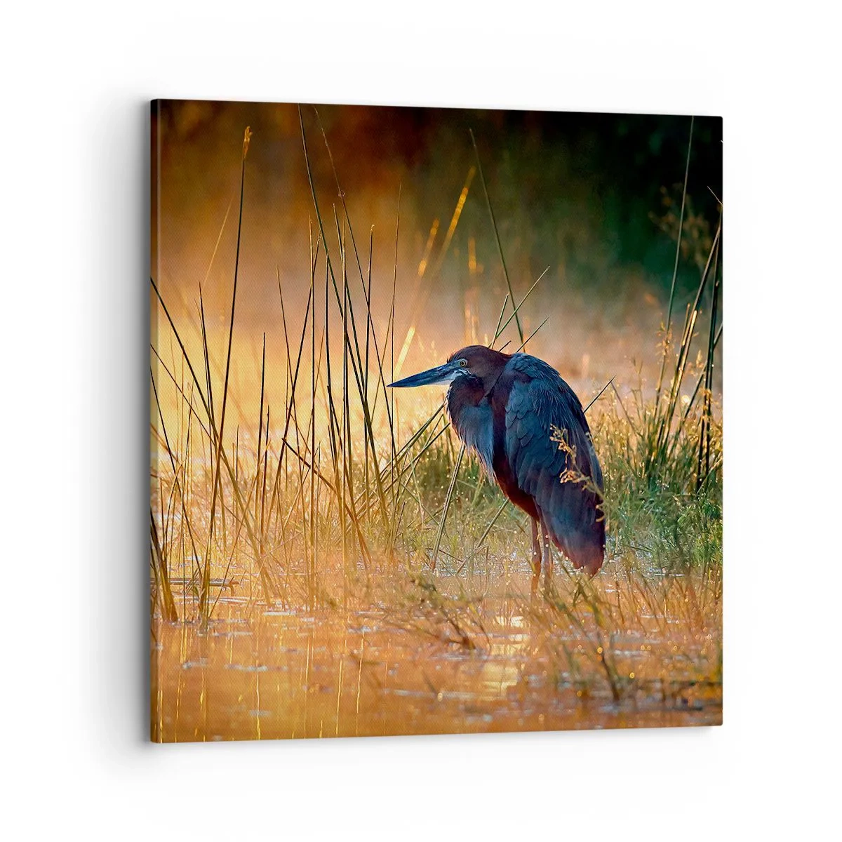 Impression sur toile - Image sur toile - Allez, laissez-moi en paix avec ces photos - 70x70 cm