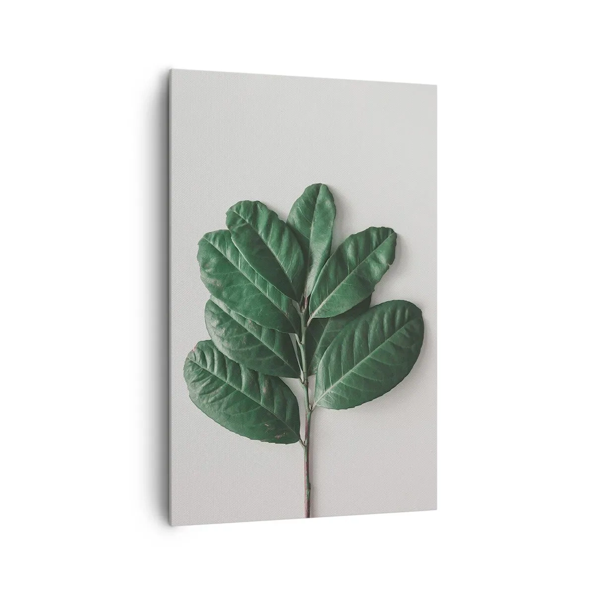 Impression sur toile - Image sur toile - Un brin de feuilles vertes sur un fond clair - 80x120cm - Dessin de la nature elle-même - Décoration murale moderne pour le salon et la chambre ARTTOR
