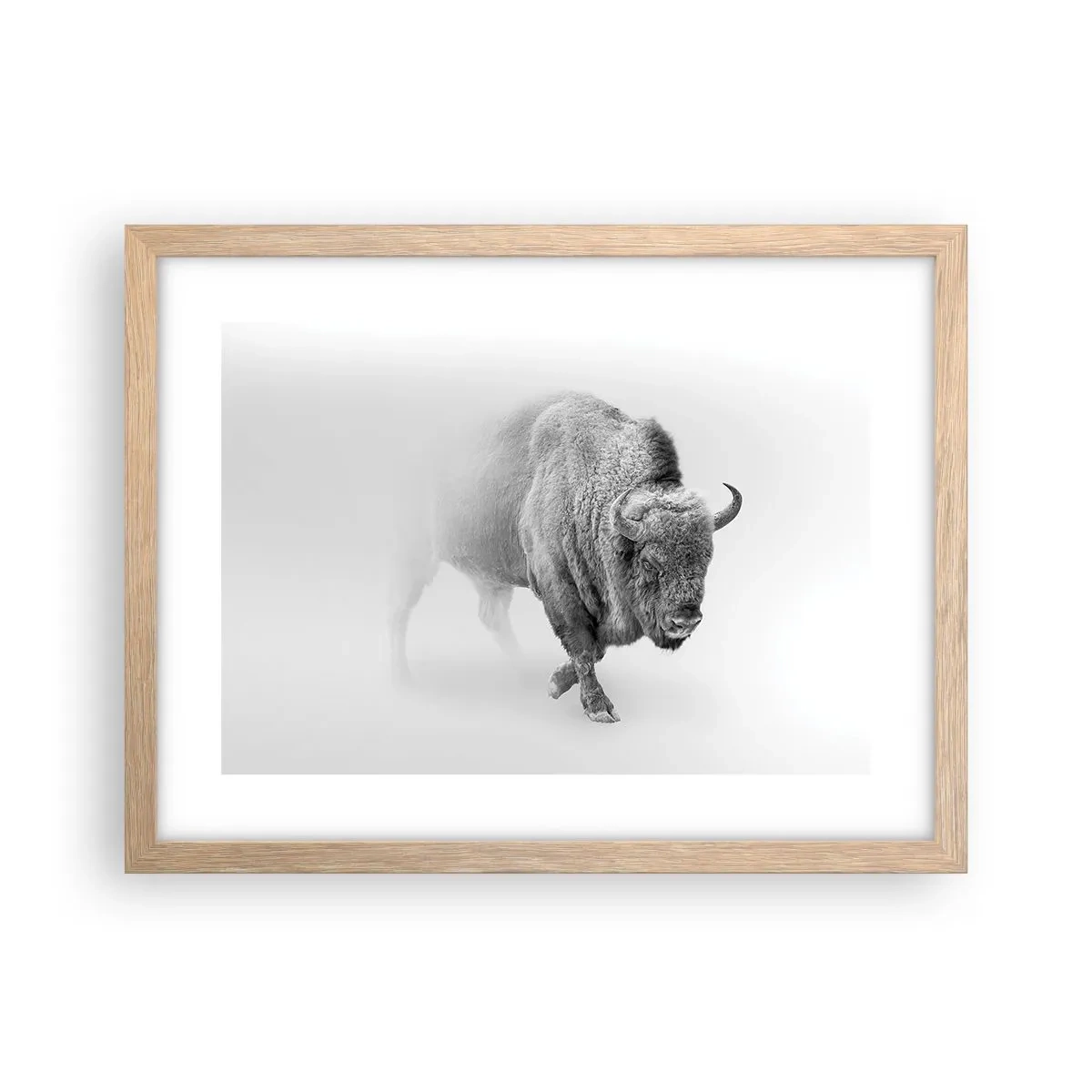 Affiche dans un chêne clair - Poster - Roi de la prairie - 40x30 cm