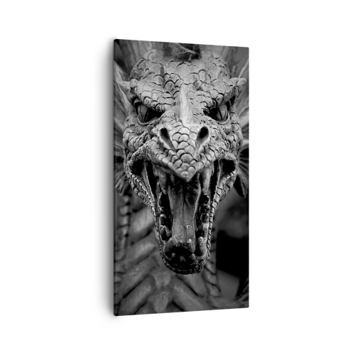 Impression sur toile - Image sur toile - Un dragon imaginaire grisâtre - 55x100 cm