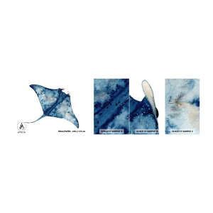 Échantillon de Papier Peint Autocollant Deluxe Sticker - La vie en bleu - Raie, Poisson, Style bord de mer - 100x30 cm