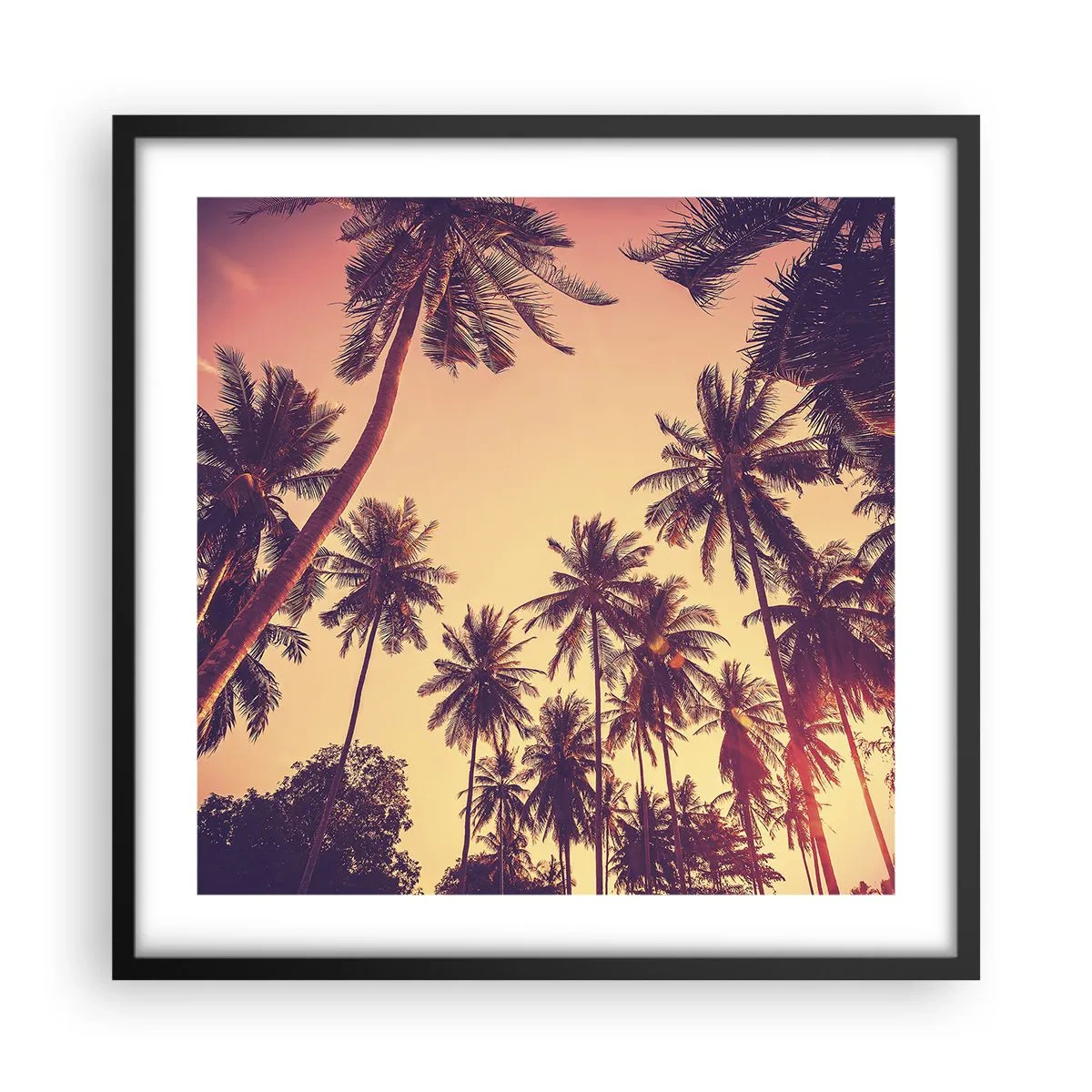 Affiche dans un cadre noir - Poster - Variation tropicale - 50x50 cm
