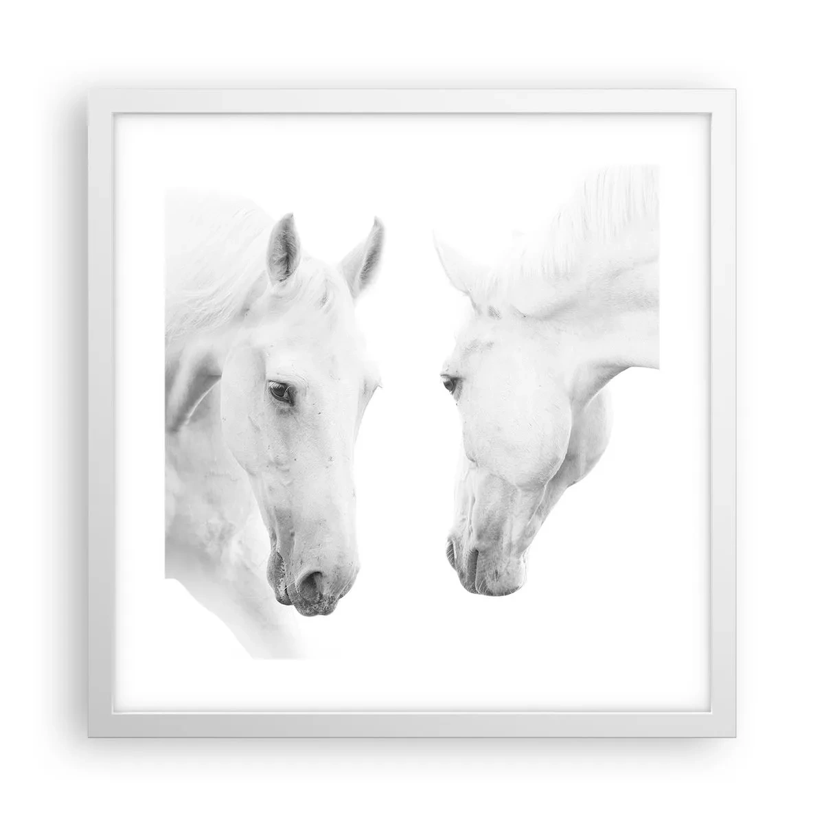 Affiche dans un cadre blanc - Poster - Serait-ce de l’amitié? - 40x40 cm