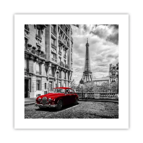 Affiche - Poster - Prédateur dans la ville - 40x40 cm