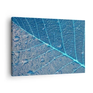 Impression sur toile - Image sur toile - Une feuille dans des tons bleus avec des gouttes d'eau - 70x50cm - La vie en bleu - Décoration murale moderne pour le salon et la chambre ARTTOR