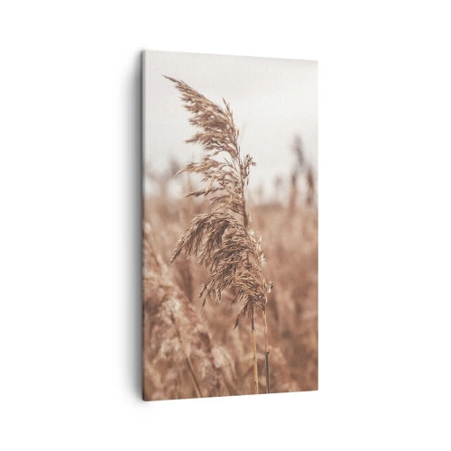 Impression sur toile - Image sur toile - C'est déjà l'automne dans les champs - 45x80 cm