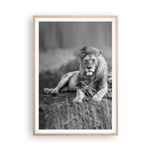 Affiche dans un chêne clair - Poster - Sieste royale - 70x100 cm