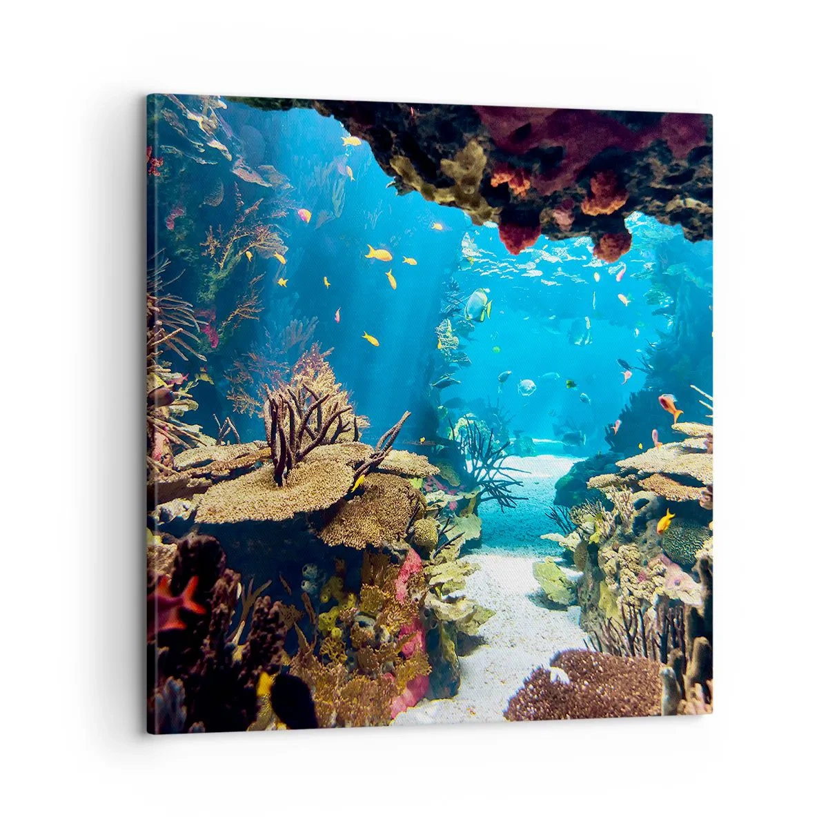 Impression sur toile - Image sur toile - Tu ne l'as même pas rêvé - 60x60 cm