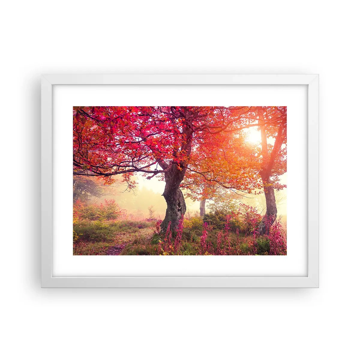 Affiche dans un cadre blanc - Poster - Frénésie de floraison - 40x30 cm