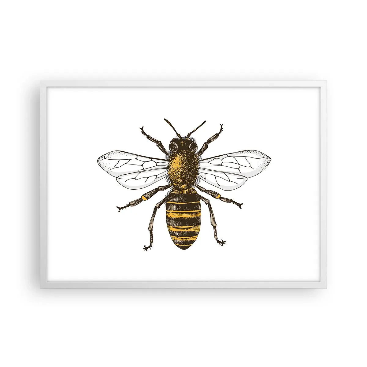 Affiche dans un cadre blanc - Poster - Belle et bonne - 70x50 cm