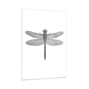 Impression sur verre - Image sur verre - Illustration détaillée d'une libellule dans un style de gravure sur fond blanc - 50x70cm - Précision de la nature - Décoration murale moderne pour le salon et la chambre ARTTOR