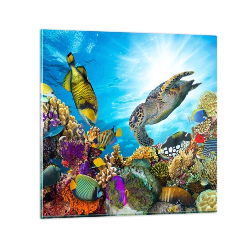 Impression sur verre - Image sur verre - Promenade de corail - 70x70 cm