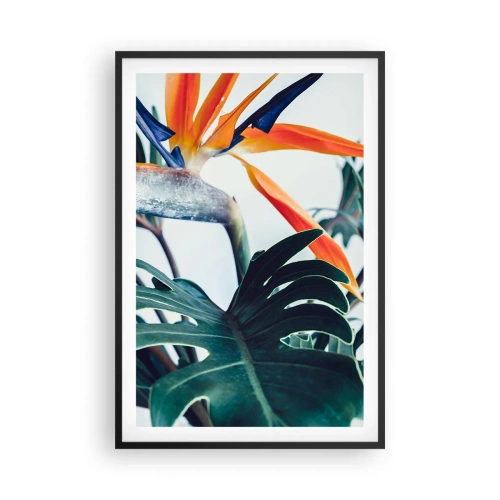 Affiche dans un cadre noir - Poster - Le buisson oiseaux - 61x91 cm