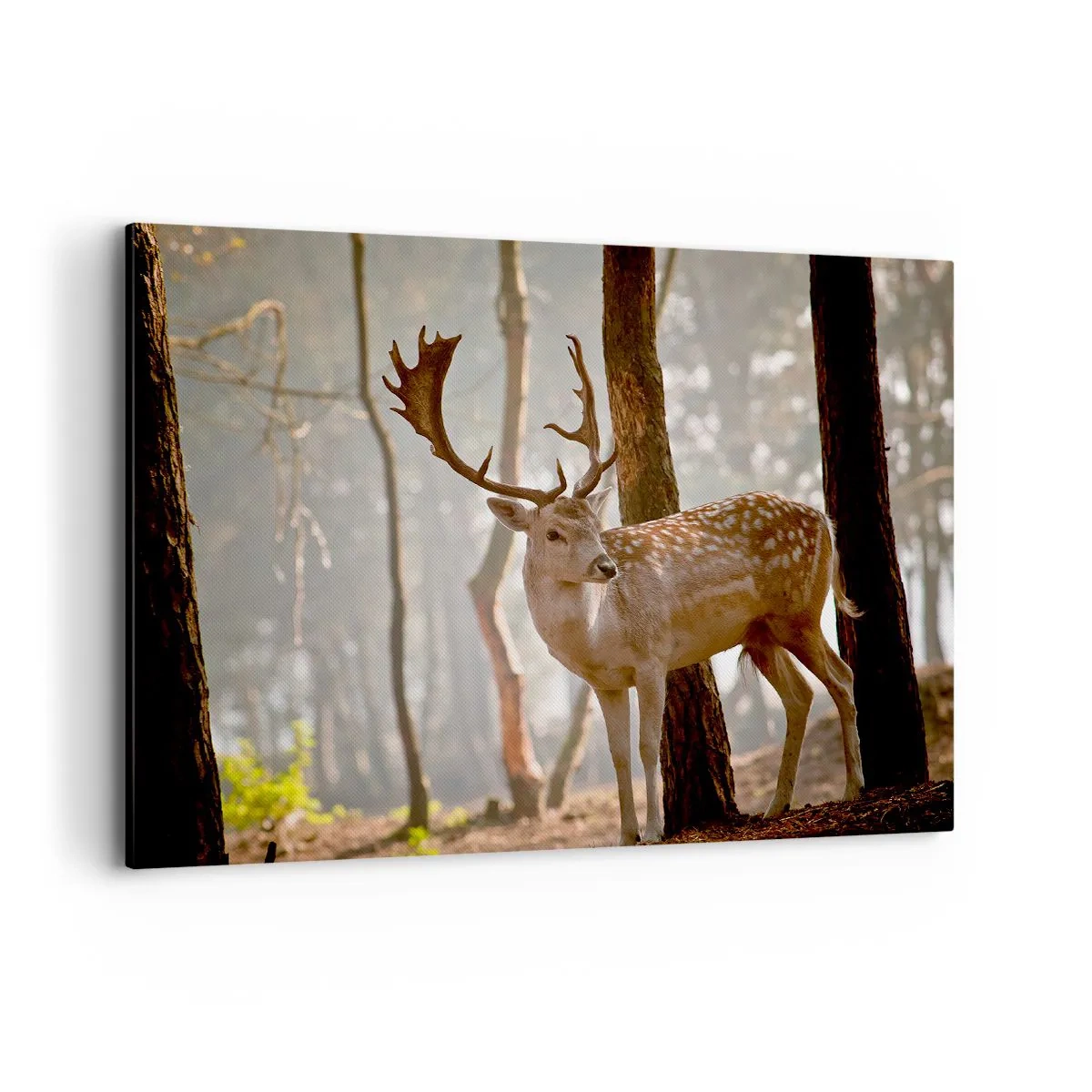 Impression sur toile - Image sur toile - Cerf dans la forêt dans le brouillard du matin - 100x70cm - La lumière de la jeunesse - Décoration murale moderne pour le salon et la chambre ARTTOR