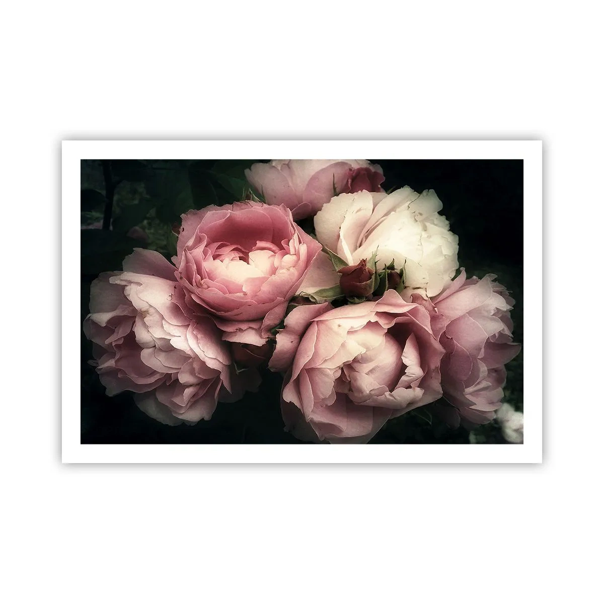 Affiche - Poster - Le charme de la belle époque - 91x61 cm