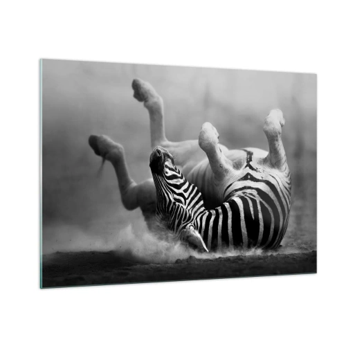 Impression sur verre - Image sur verre - Un zèbre couché dans la savane africaine - 100x70cm - Pas uniquement le cheval en rirait - Décoration murale moderne pour le salon et la chambre ARTTOR