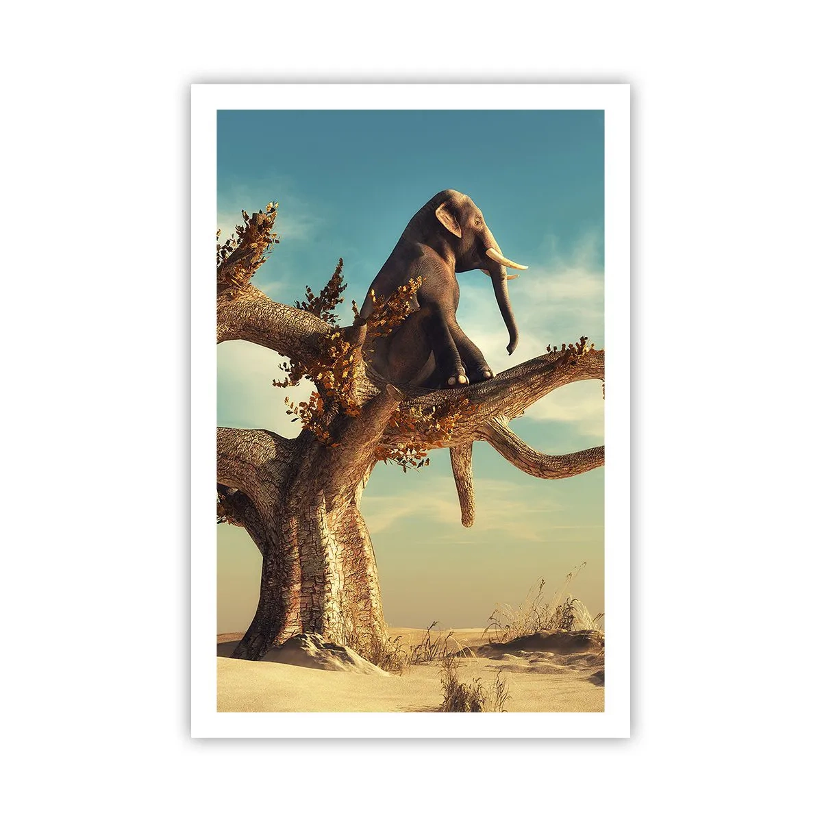 Affiche - Poster - Nouveau point de vue - 61x91 cm