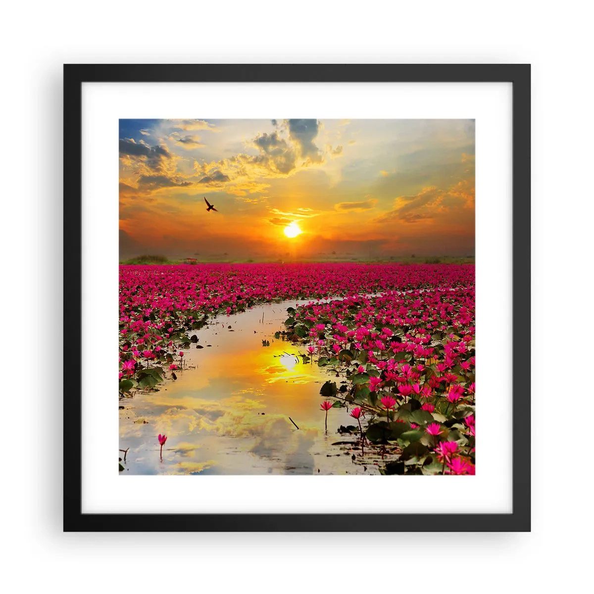 Affiche dans un cadre noir - Poster - La vie secrète du lac - 40x40 cm