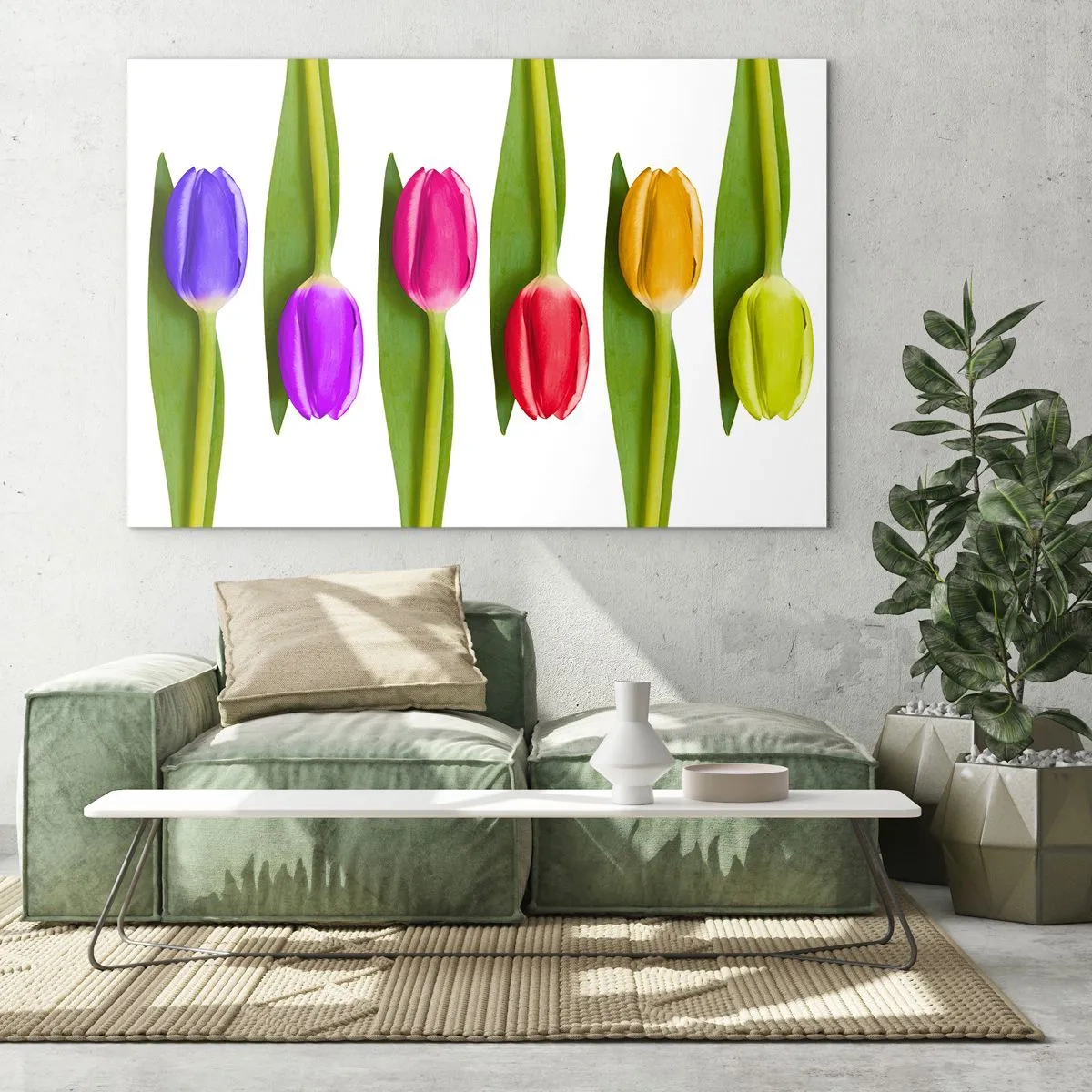 Impression sur verre - Image sur verre - Tulipes colorées disposées sur un fond blanc - 70x50cm - Composition arc-en-ciel - Décoration murale moderne pour le salon et la chambre ARTTOR