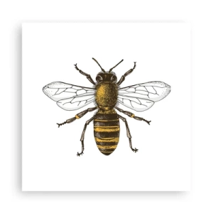 Affiche - Poster - Belle et bonne - 30x30 cm