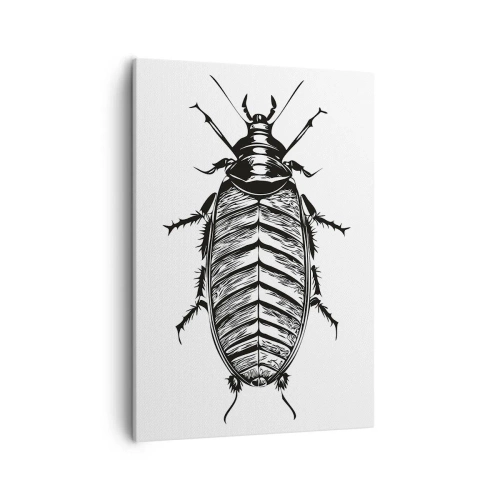 Impression sur toile - Image sur toile - Graphique d'un insecte noir et blanc sur fond blanc - 50x70cm - Quel spécimen! - Décoration murale moderne pour le salon et la chambre ARTTOR