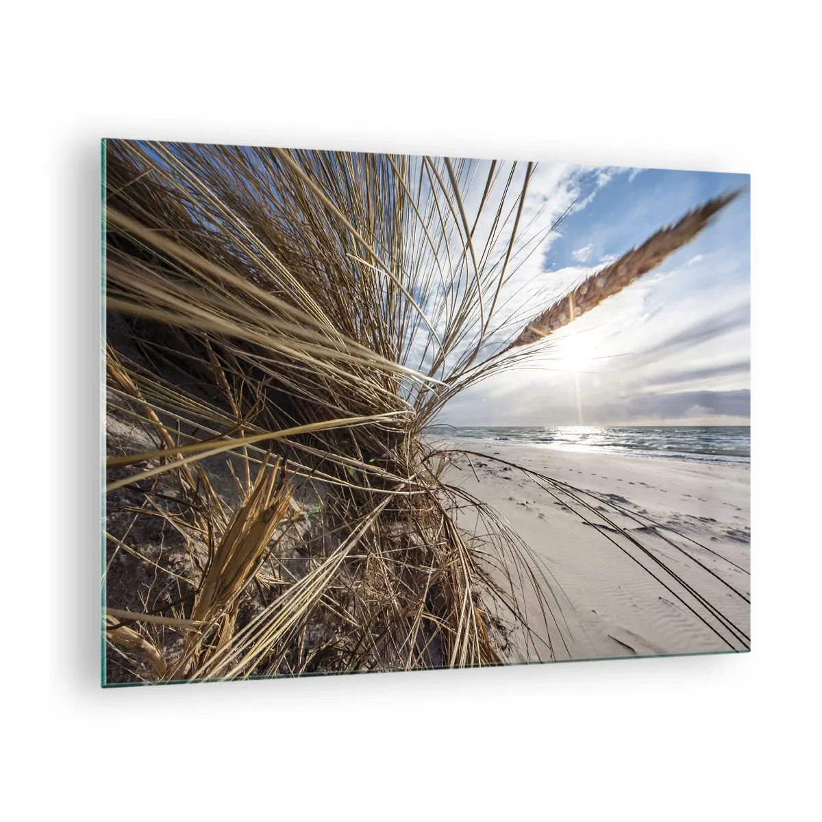 Impression sur verre - Image sur verre - Herbe dorée sur fond de plage de sable et de mer - 70x50cm - Rencontre des éléments - Décoration murale moderne pour le salon et la chambre ARTTOR
