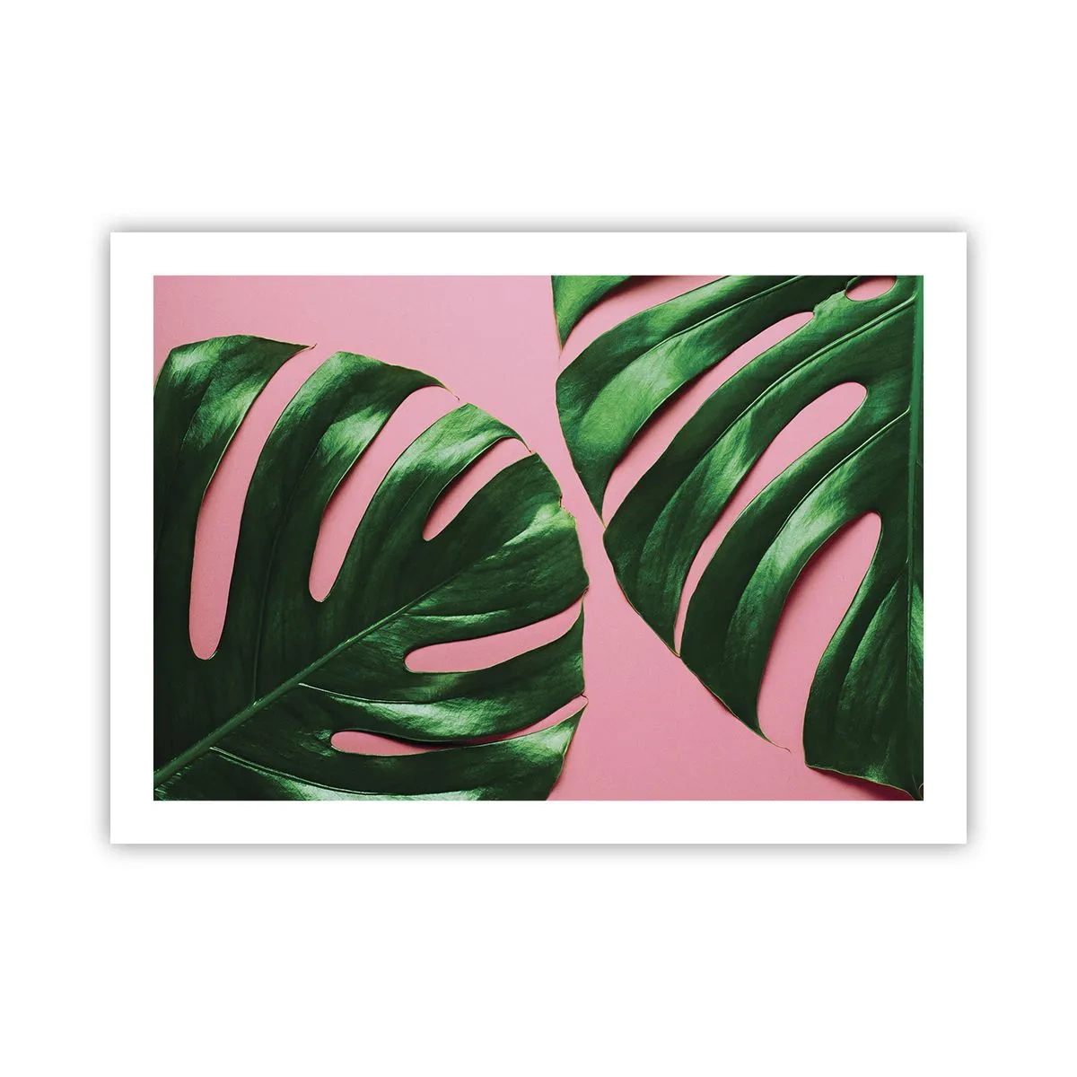 Affiche - Poster - Rendez-vous vert - 70x50 cm
