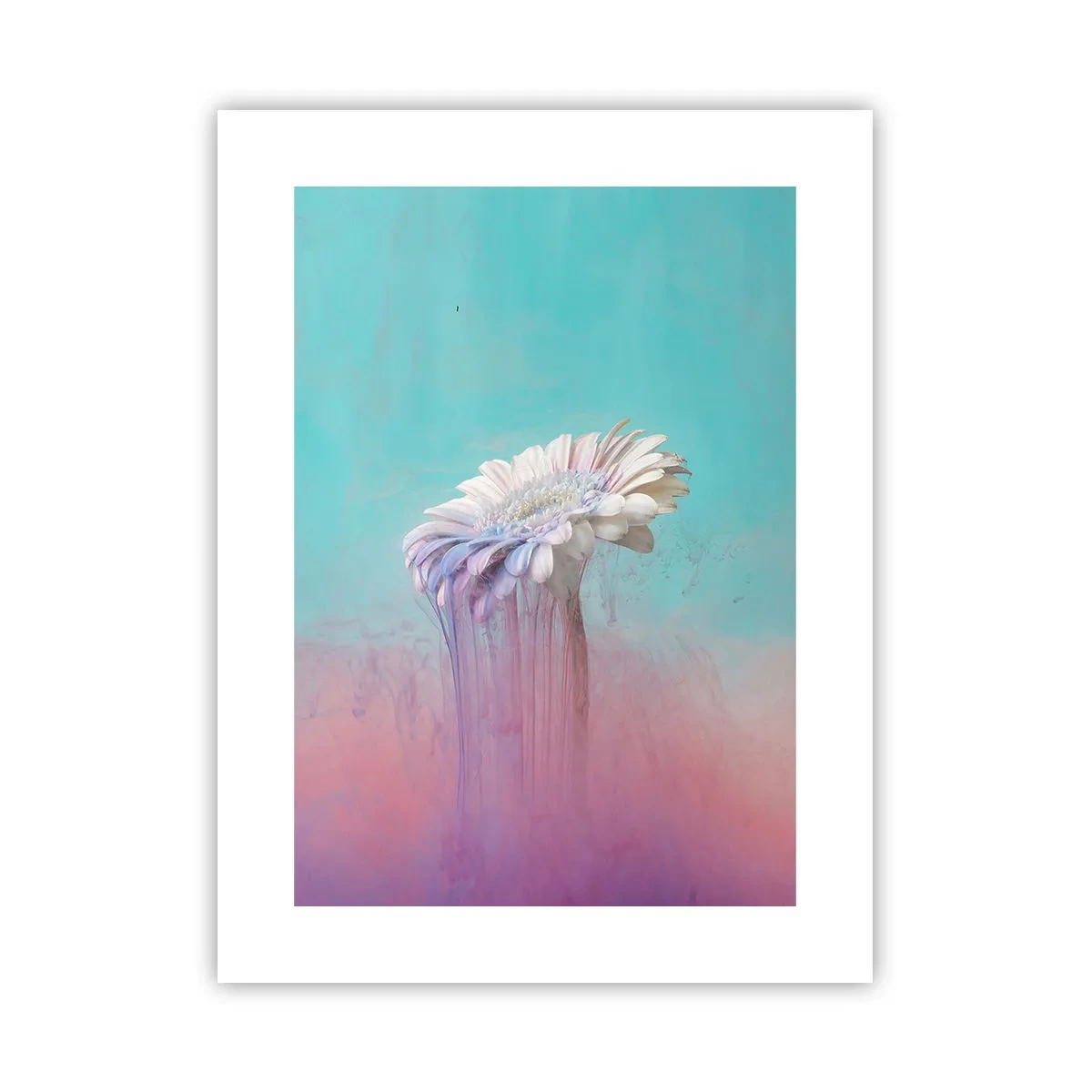 Affiche - Poster - Le monde souterrain des fleurs - 30x40 cm