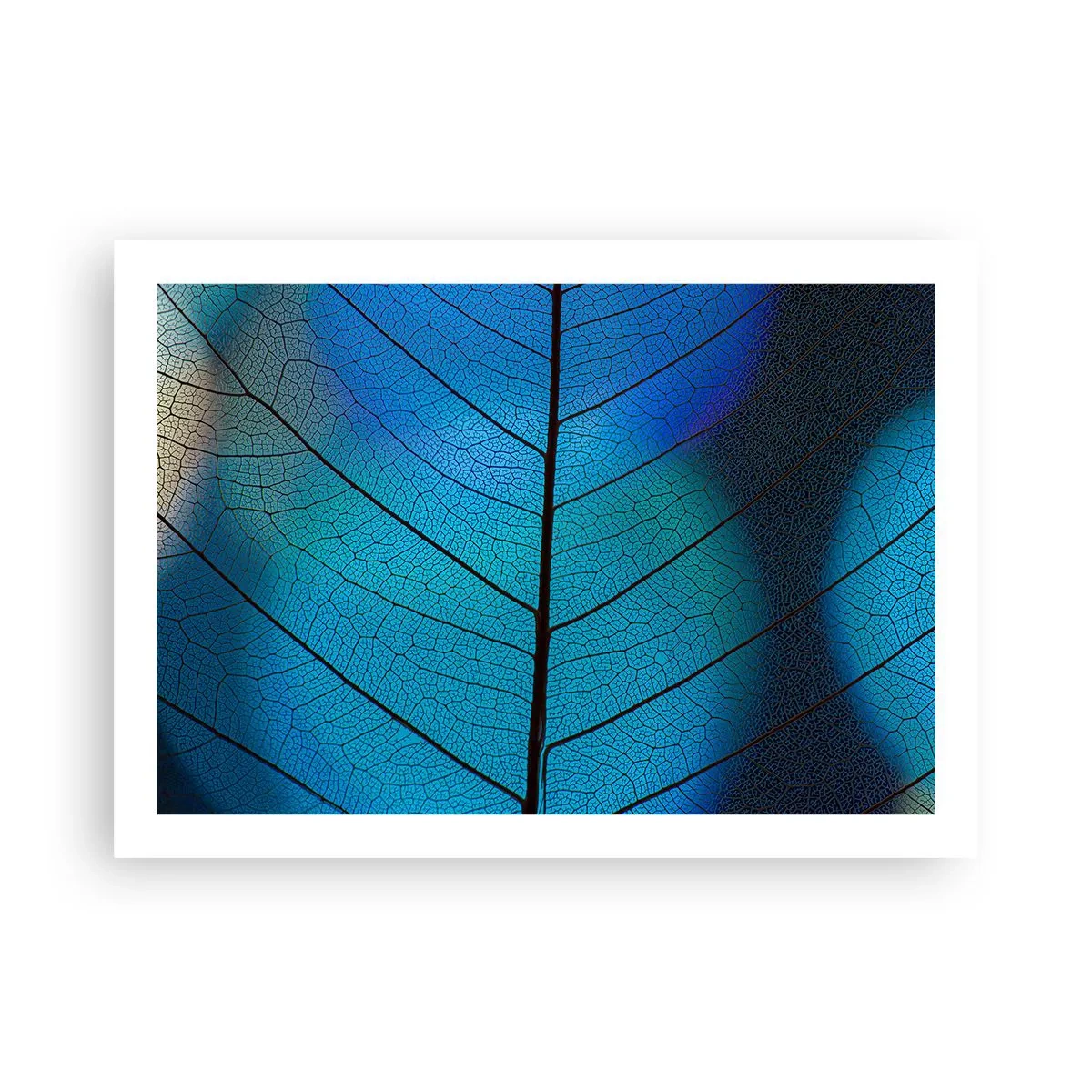 Affiche - Poster - Construction complexe - 70x50 cm