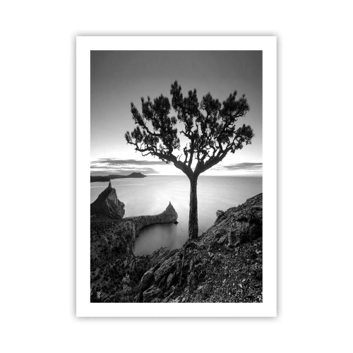 Affiche - Poster - Paysage noir et blanc avec un arbre solitaire au-dessus d'une falaise - 50x70cm - Paix jusqu'à l'horizon - Décoration murale moderne pour le salon et la chambre ARTTOR
