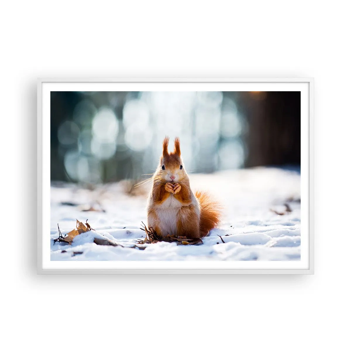 Affiche dans un cadre blanc - Poster - Qu'est ce que tu regardes comme ça? - 100x70 cm