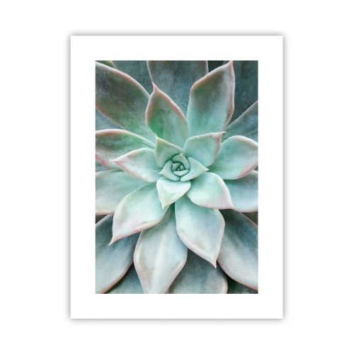 Affiche - Poster - Le coeur du désert - 30x40 cm