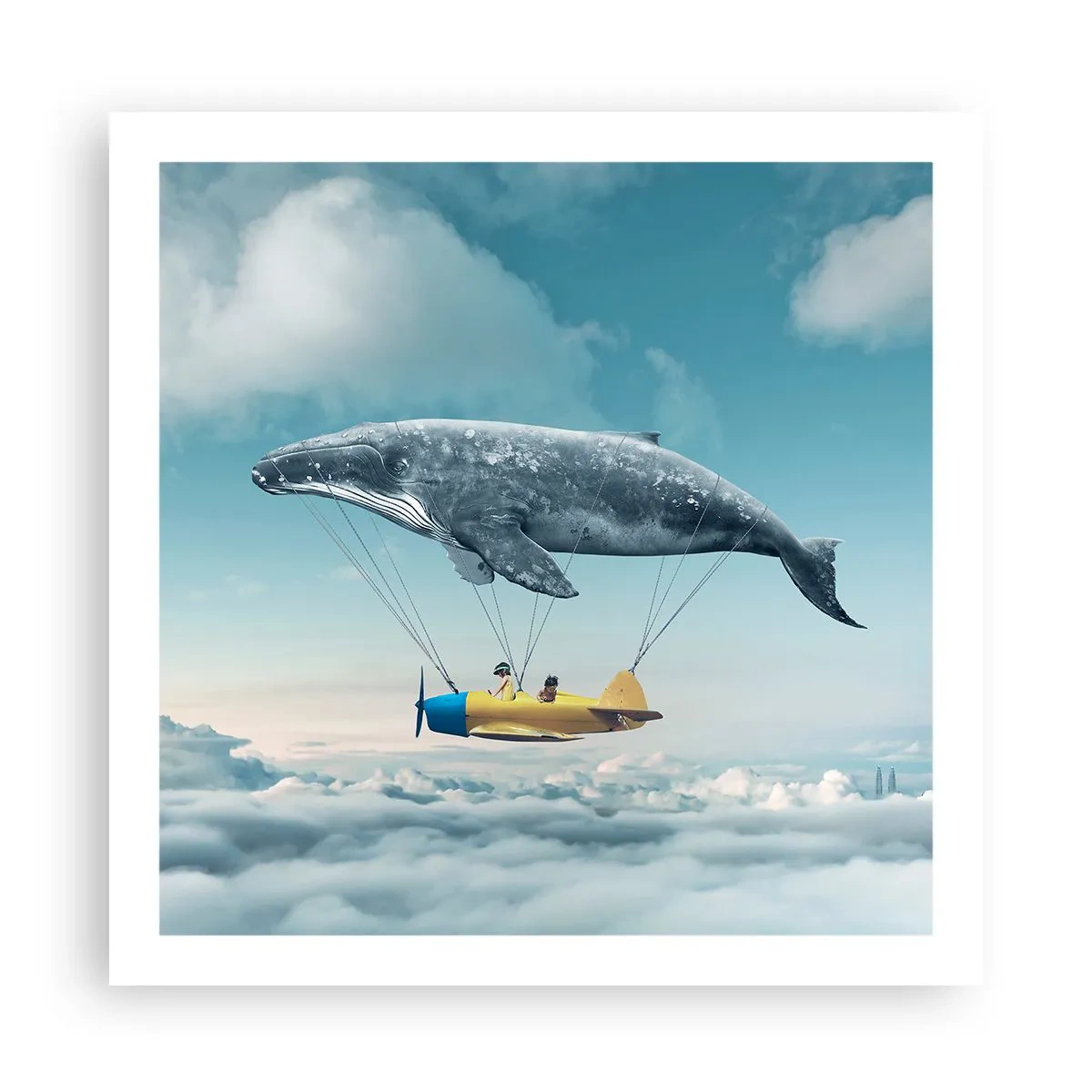 Affiche - Poster - Pourquoi pas? - 60x60 cm