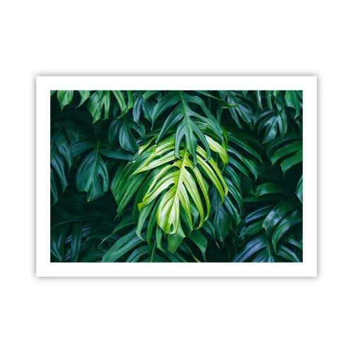 Affiche - Poster - Immergez-vous dans la fraîcheur - 70x50 cm