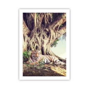 Affiche - Poster - Un tigre se repose sous un immense arbre aux racines emmêlées. - 50x70cm - Vue du Livre de la Genèse - Décoration murale moderne pour le salon et la chambre ARTTOR