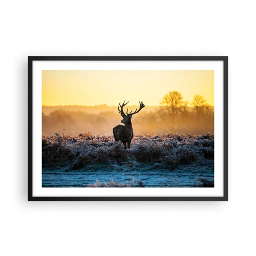 Affiche dans un cadre noir - Poster - Un cerf dans une clairière gelée au lever du soleil - 70x50cm - Couronné pour sa succession - Décoration murale moderne pour le salon et la chambre ARTTOR