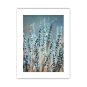 Affiche - Poster - Tige odorante - 30x40 cm