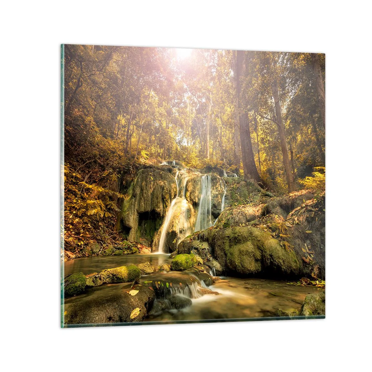 Impression sur verre - Image sur verre - Cascade de forêt en vert - 40x40 cm