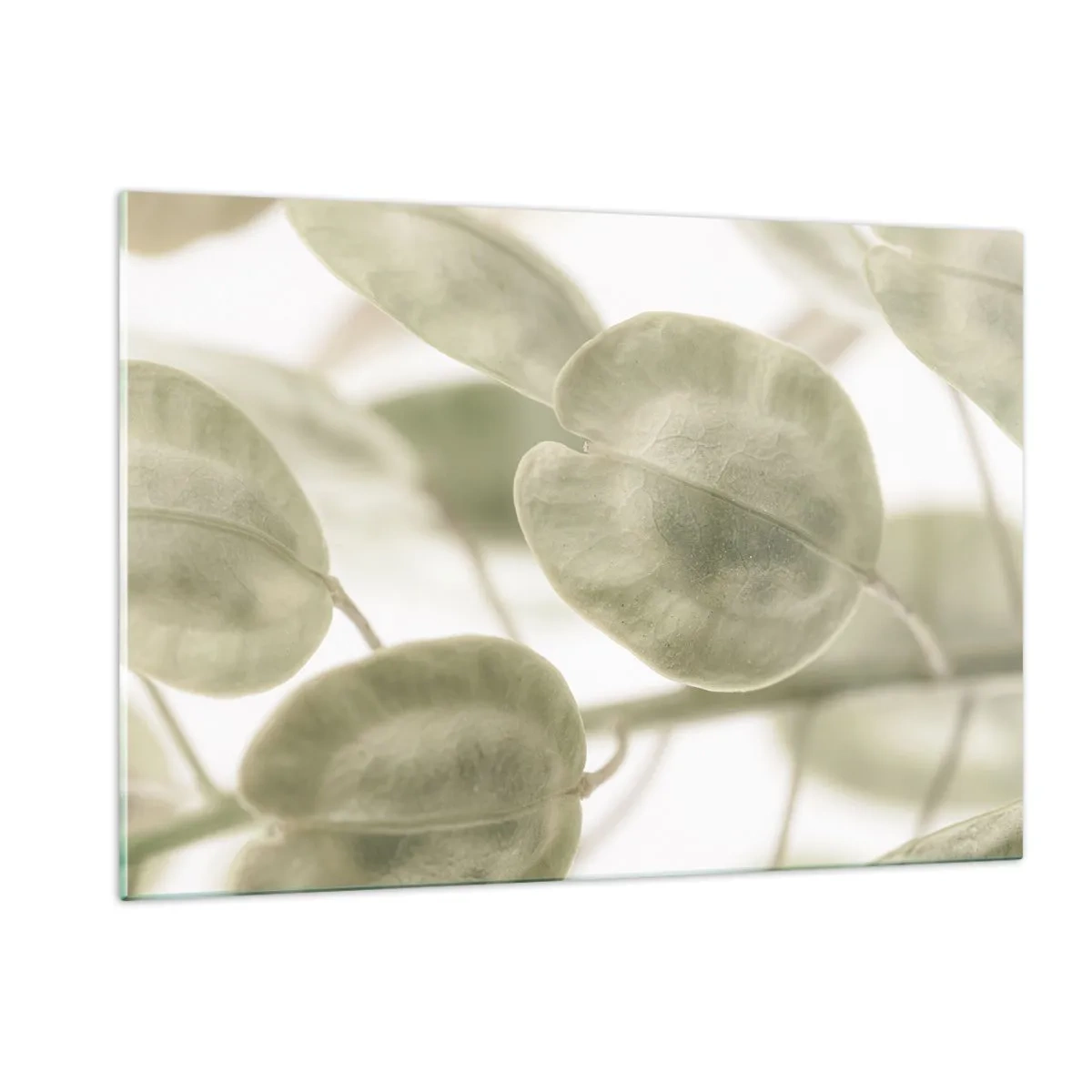 Impression sur verre - Image sur verre - Gros plan de feuilles dans des tons pastel doux de vert - 120x80cm - Au commencement il y avait des feuilles... - Décoration murale moderne pour le salon et la chambre ARTTOR