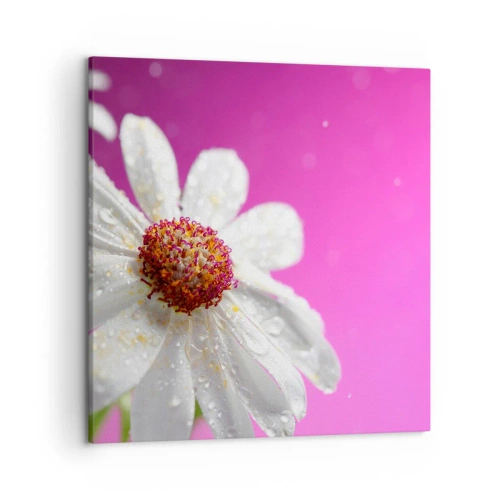 Impression sur toile - Image sur toile - Modeste dans sa beauté - 50x50 cm