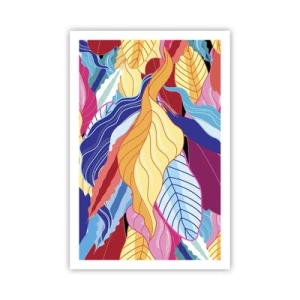 Affiche - Poster - Un désordre coloré - 61x91 cm
