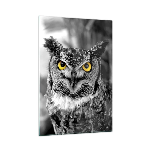 Impression sur verre - Image sur verre - Une photo en noir et blanc d'un hibou aux yeux jaunes - 80x120cm - Rien ne se cachera - Décoration murale moderne pour le salon et la chambre ARTTOR