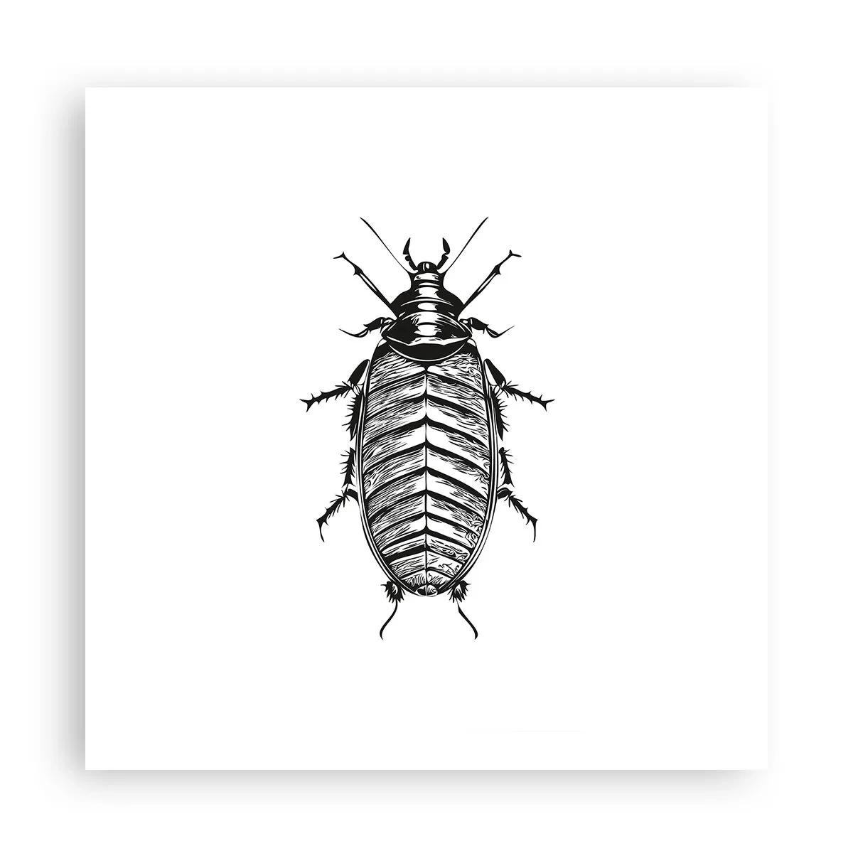 Affiche - Poster - Quel spécimen! - 60x60 cm