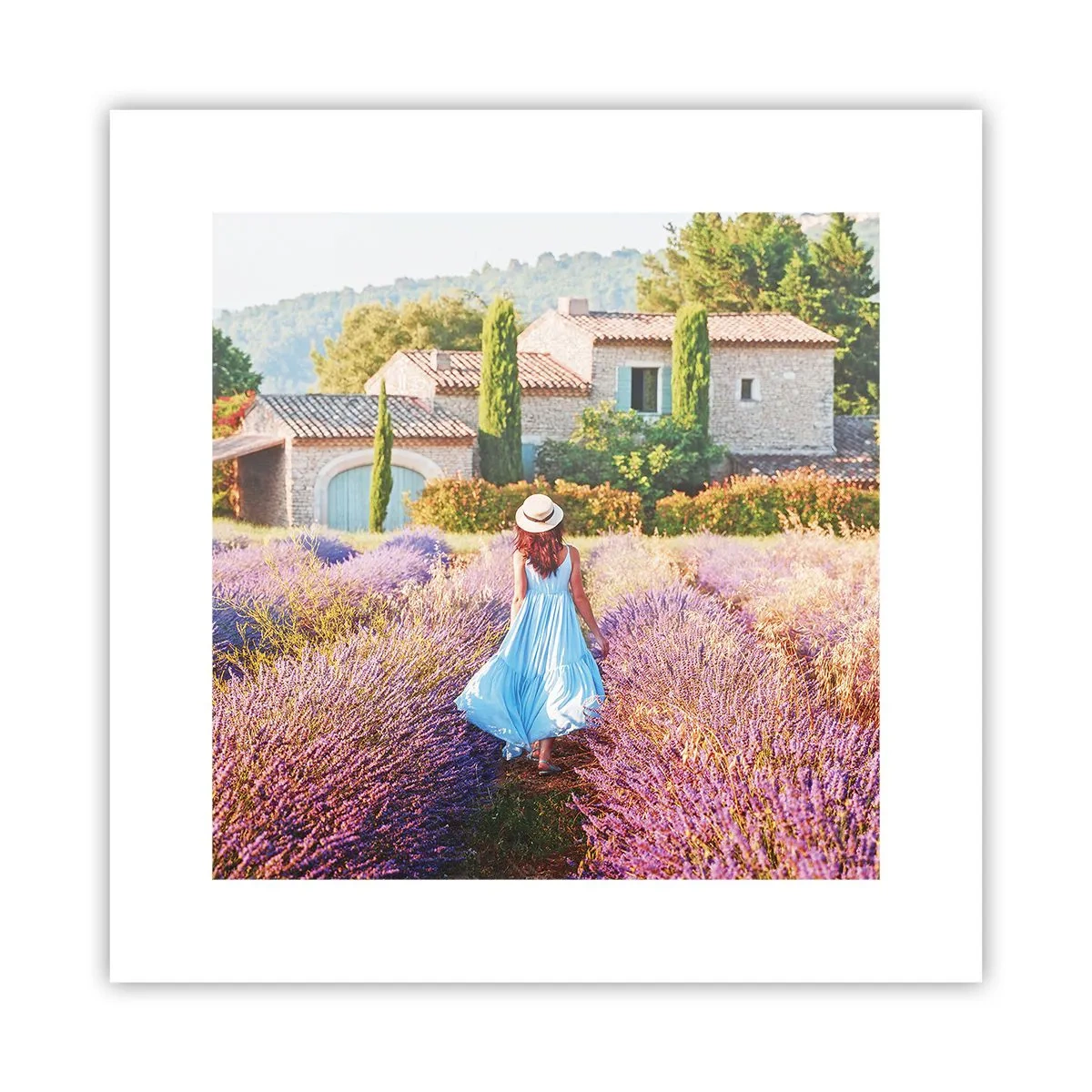 Affiche - Poster - Fille de la lavande - 30x30 cm